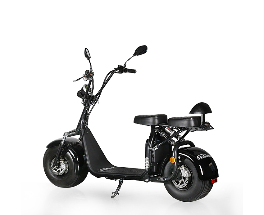 EcoRider EEC Citycoco Two Wheel Electric Scooter